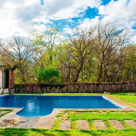 The Hills And Beograd