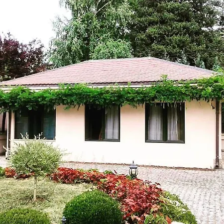 The Hills And Belgrade